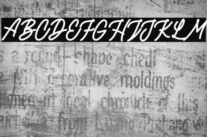 RottordamBoldFREE-Bold Fuentes examples