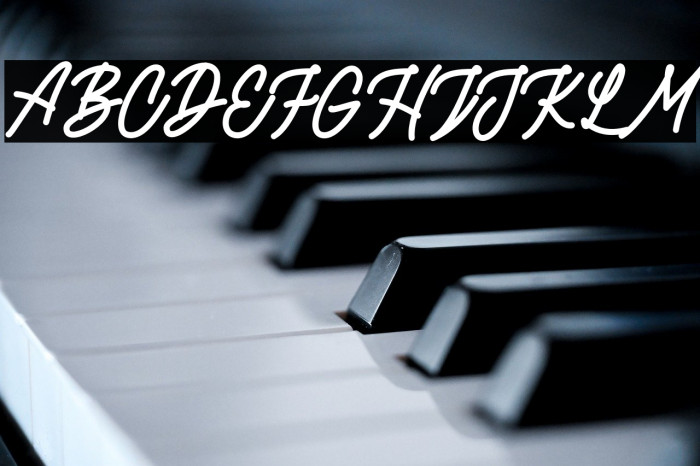 RottordamBoldFREE-Bold Example 2