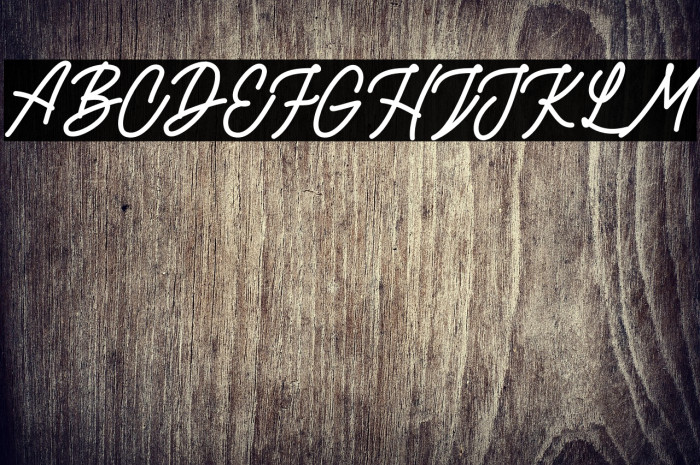 RottordamFREE Example 2