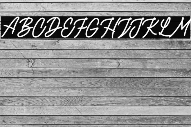 RottordamFREE Font examples