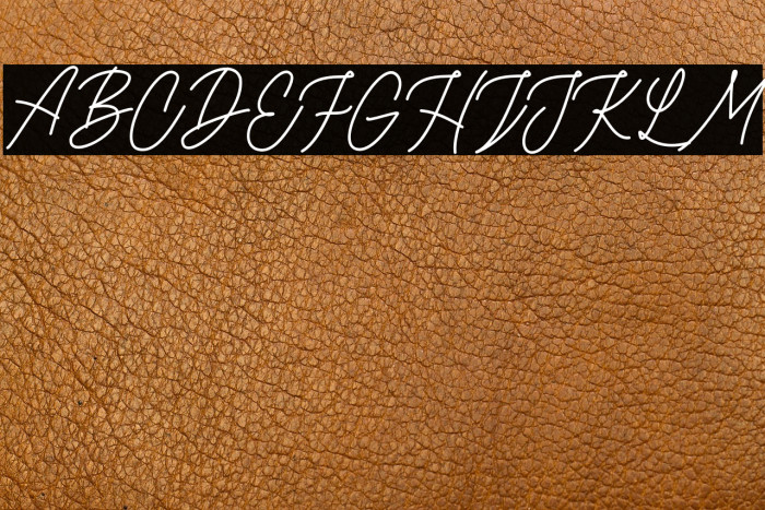 RottordamThinFREE Example 2