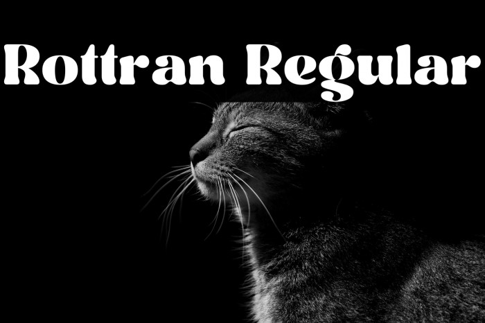 Rottran Regular Example 2