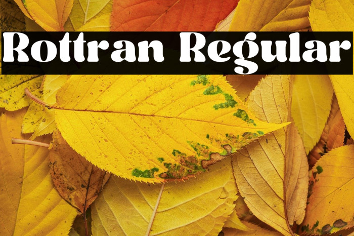 Rottran Regular Example 3