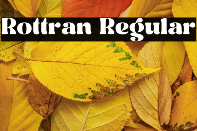 Rottran Regular Example 3