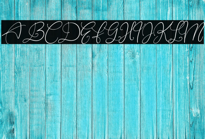 Rottrydam Wargna Personal Use Example 2