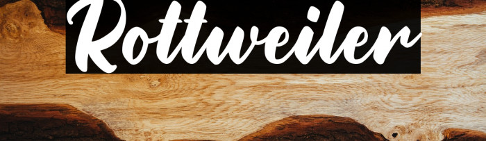 Rottweiler Example 1