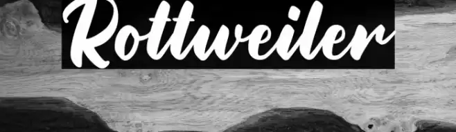 Rottweiler Font examples