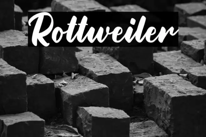 Rottweiler Font examples