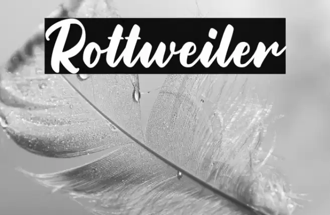 Rottweiler Font examples