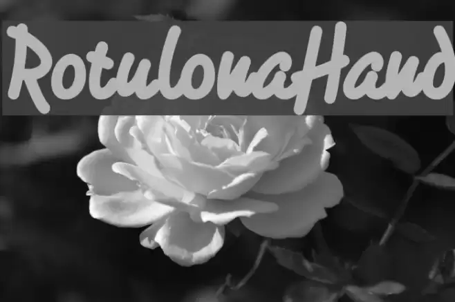RotulonaHand Polices examples