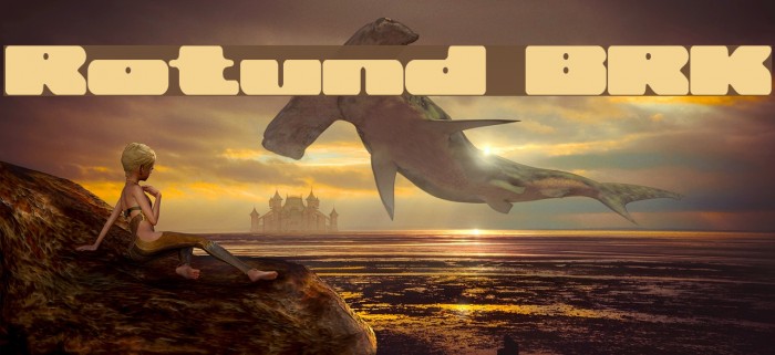 Rotund [BRK] Example 1