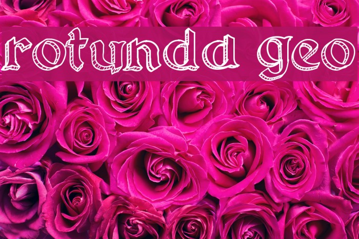 Rotunda Geo Font examples