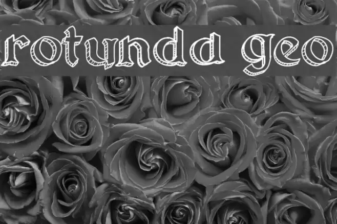Rotunda Geo Font examples