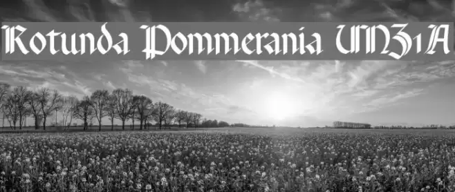 Rotunda Pommerania UNZ1A Font examples