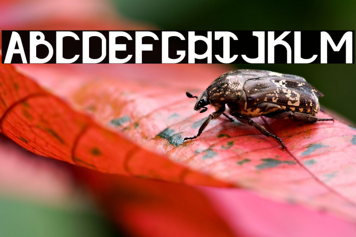 Rotundum - Demo Example 3