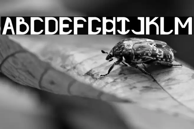 Rotundum - Demo Font examples