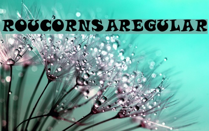 Roucorns Regular Example 1