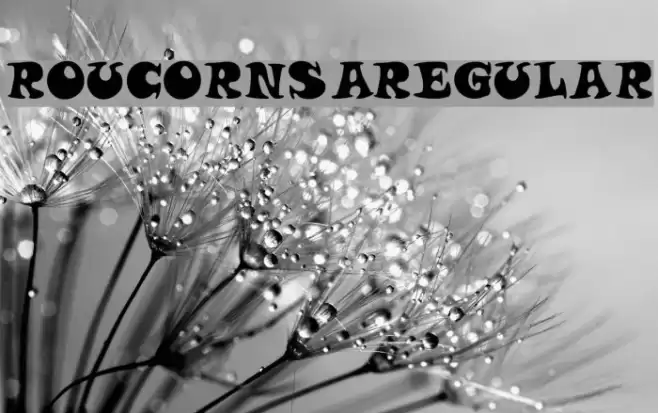 Roucorns Regular Font examples