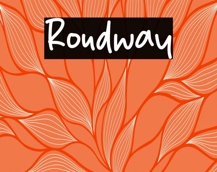 Roudway Example 3