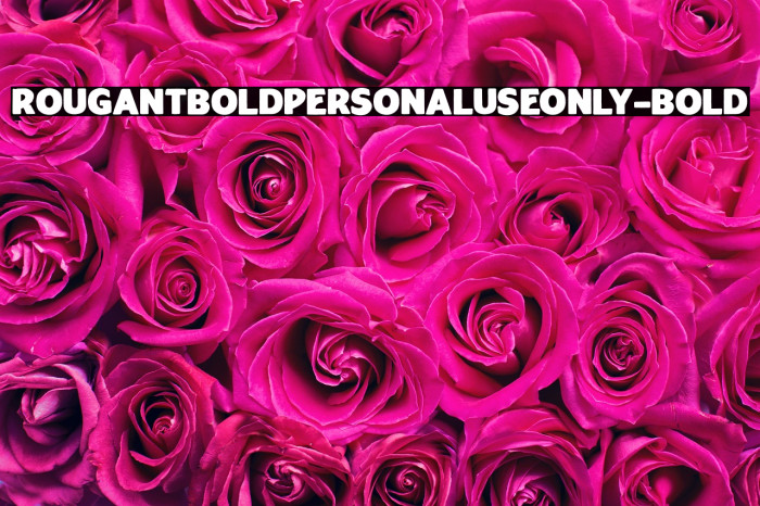 RougantBoldPERSONALUSEONLY-Bold Example 3