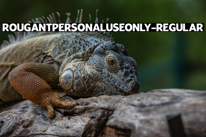 RougantPERSONALUSEONLY-Regular Example 3