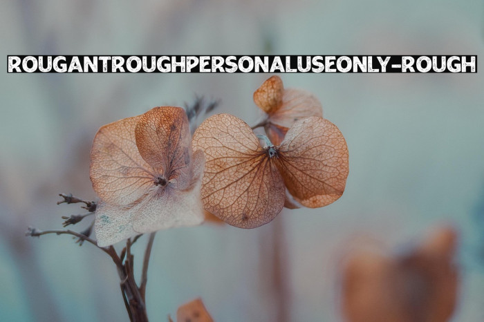 RougantRoughPERSONALUSEONLY-Rough Example 2