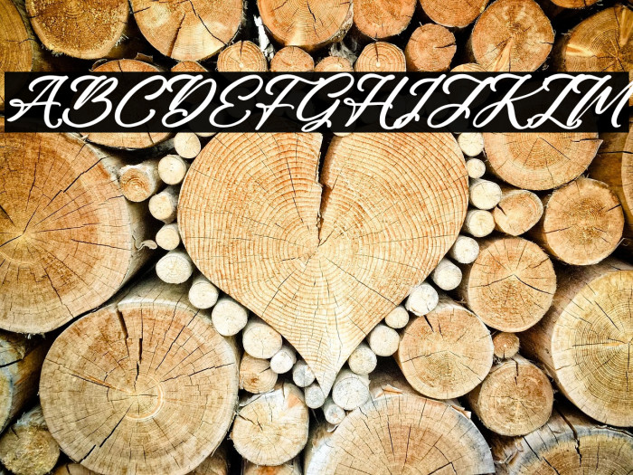 Rough Anthem Italic Example 1