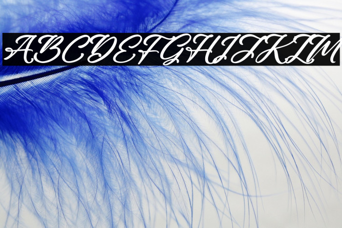 Rough Anthem Italic Example 2