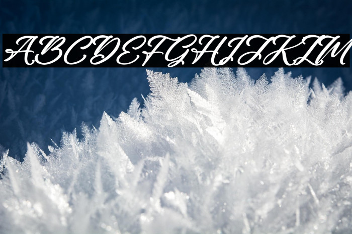 Rough Anthem Italic Example 3