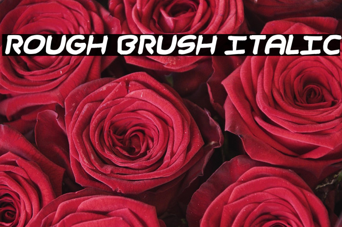 Rough Brush Italic Example 2