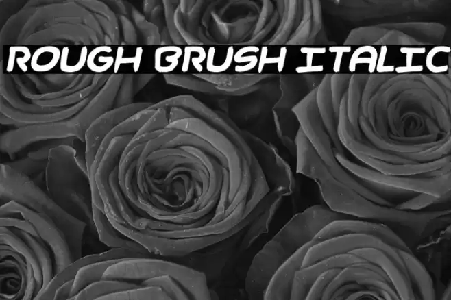 Rough Brush Italic Font examples