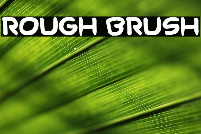 Rough Brush Example 1