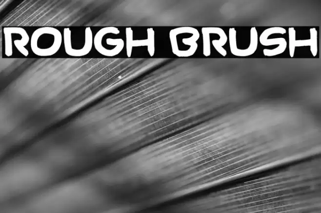 Rough Brush Font examples
