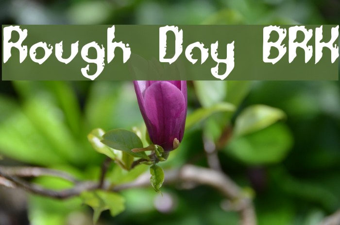 Rough Day BRK Font examples