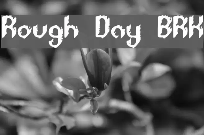 Rough Day BRK フォント examples