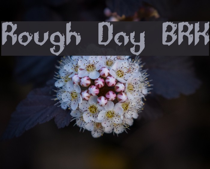 Rough Day BRK Font examples