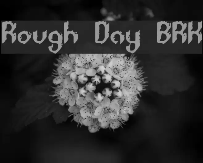 Rough Day BRK フォント examples