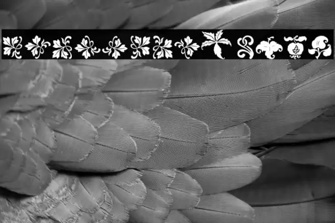 Rough Fleurons Free Font examples