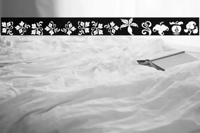 Rough Fleurons Free Font examples