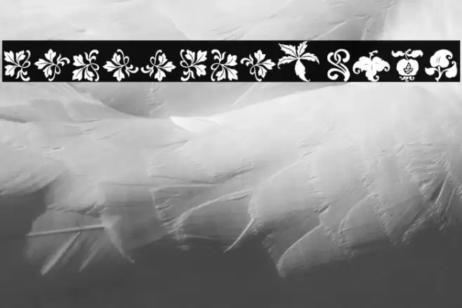 Rough Fleurons Free Font examples