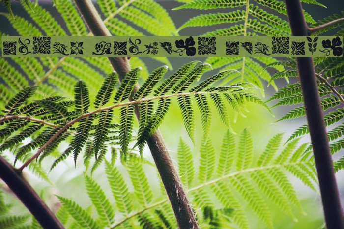 Rough Flowers Regular Example 2