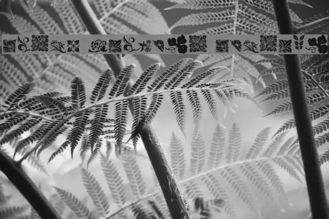 Rough Flowers Regular Font examples