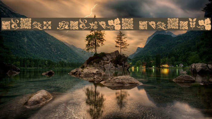 Rough Flowers Regular Example 3