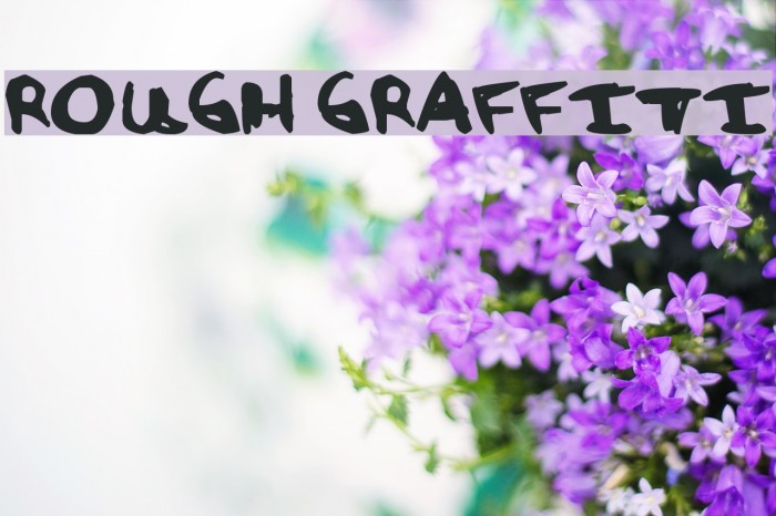 Rough Graffiti Font examples