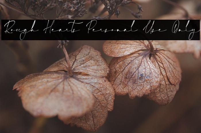 Rough Hearts Personal Use Only Schriftart examples