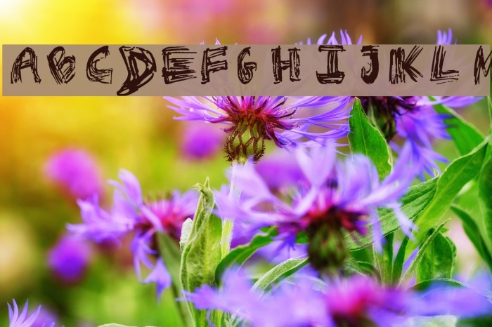 Rough Outline Example 1