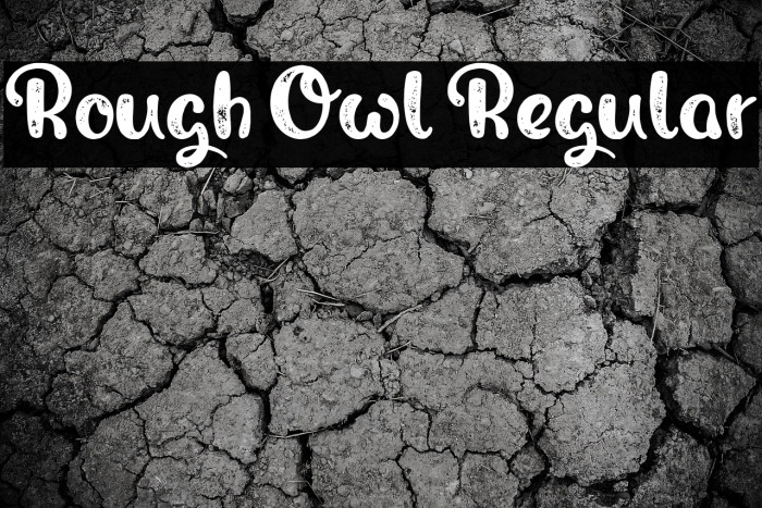 Rough Owl Regular Example 1
