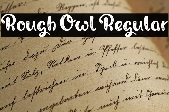 Rough Owl Regular Example 3