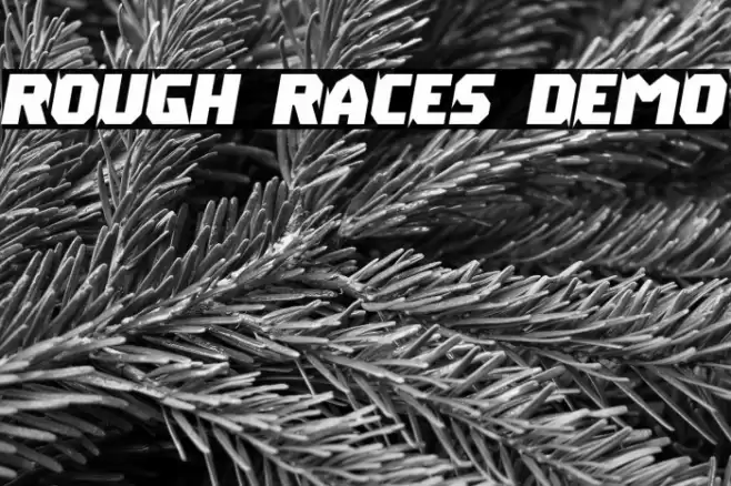 Rough Races Demo フォント examples