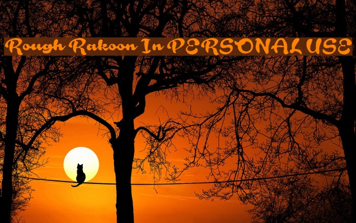 Rough Rakoon In PERSONAL USE Example 1